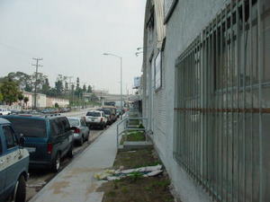 DSC00555.JPG