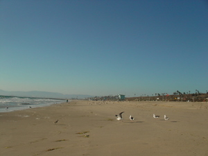 DSC00942.JPG