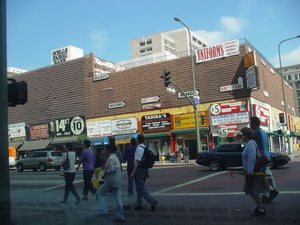 DSC01001.JPG