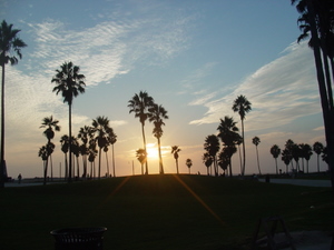 DSC01195.JPG