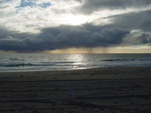 DSC02232.JPG