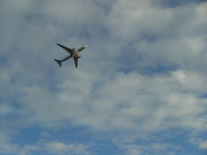 DSC02236.JPG