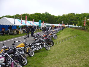 kick2_P1020273.JPG
