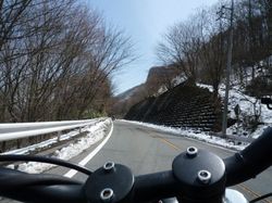 20100418Saku_01.jpg