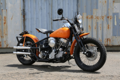 Rodeo_48Pan_Orange-004