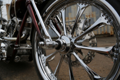 Rodeo_Bison280_Shv_006