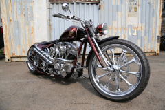 Rodeo_Bison280_Shv_028