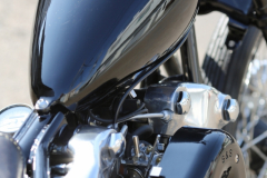 Rodeo_KN_Springer019