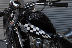 narrow-bison-ssCRW_5356_1280