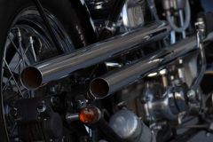 narrow-bison-ssCRW_5361_1280