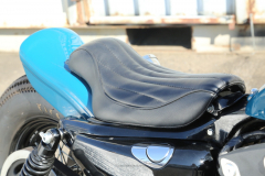 XL1200XBuleCustom0015