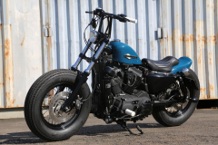 XL1200XBuleCustom0025