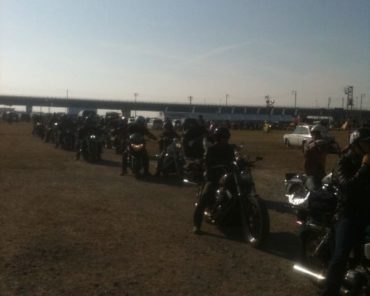 VIBES MEETING 2011