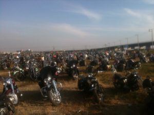 VIBES MEETING 2011